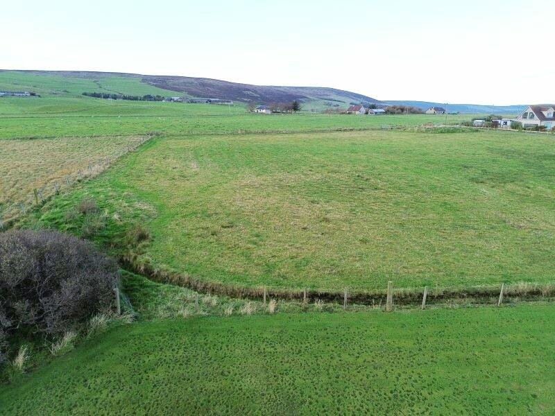 Field