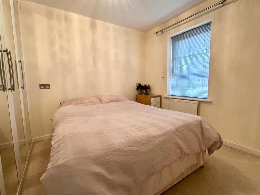 IMG_5406.jpeg