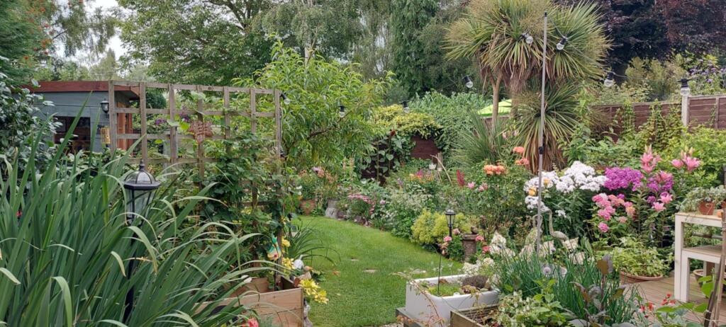 WSP Garden - July 2024