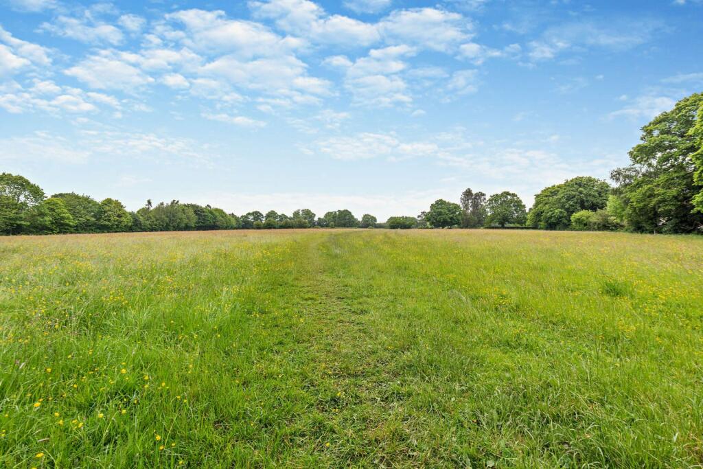 Part Of The 24 Acres