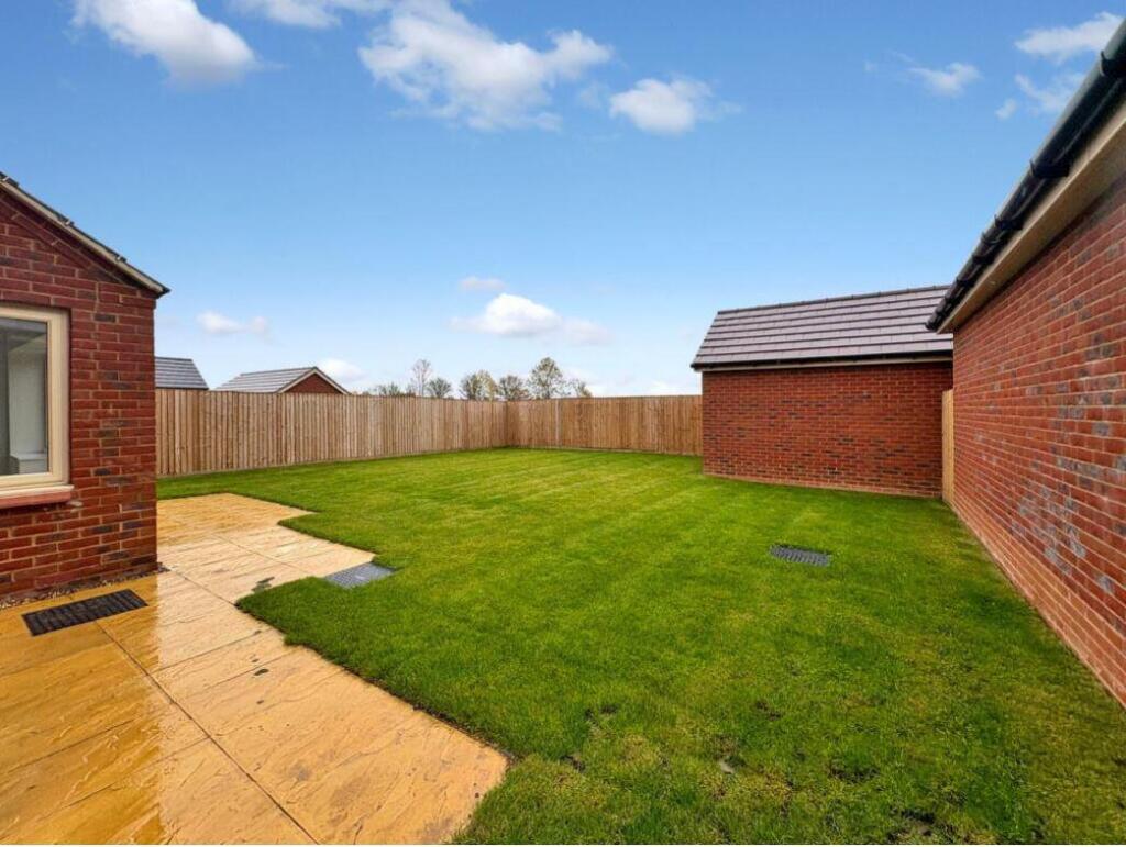 garden.JPG