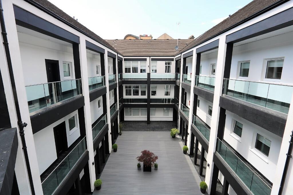 13_16164939729446.JP