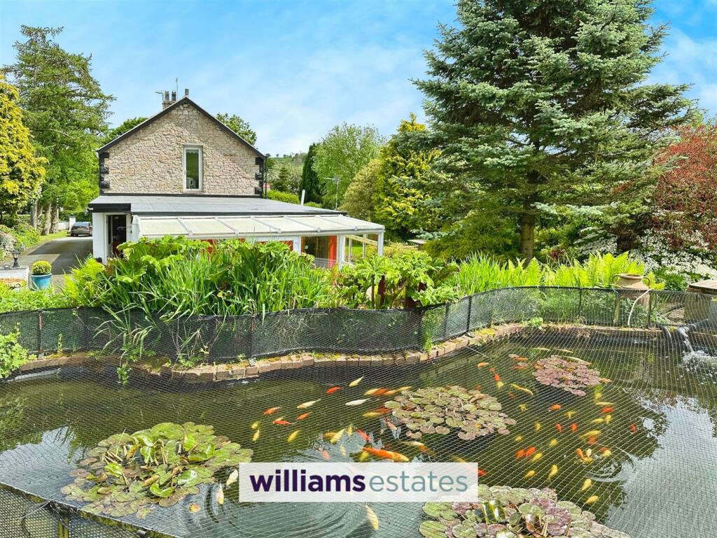 Fish Pond