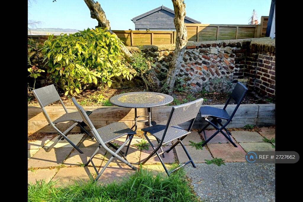 Garden In Summer 2023