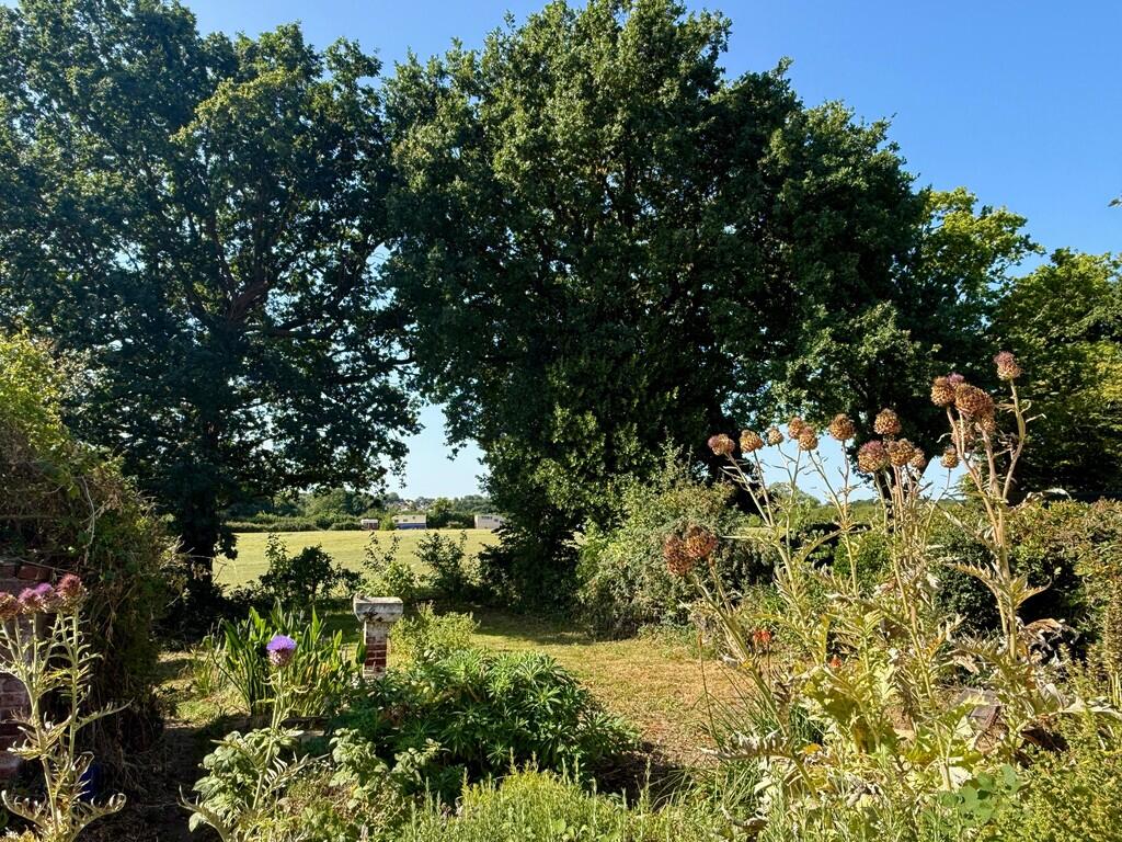 IMG-20250815-WA00...