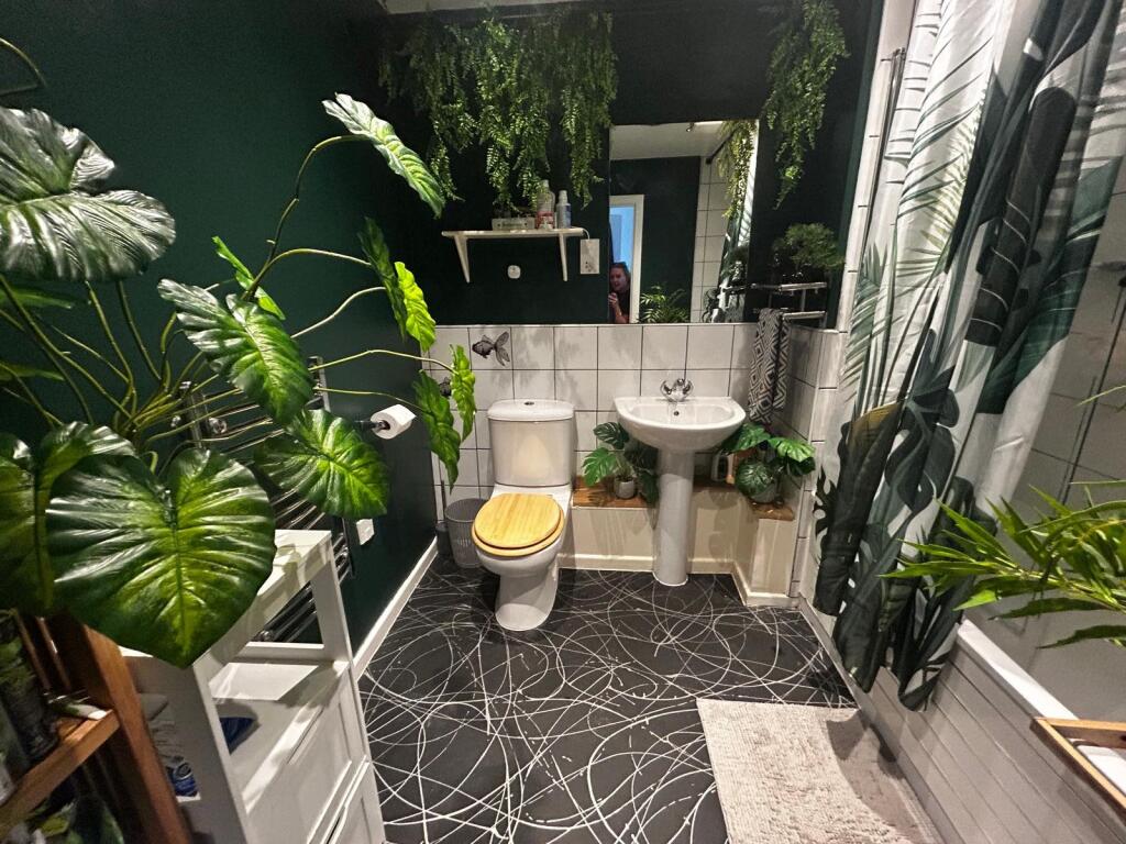 WhatsApp Image 2025-