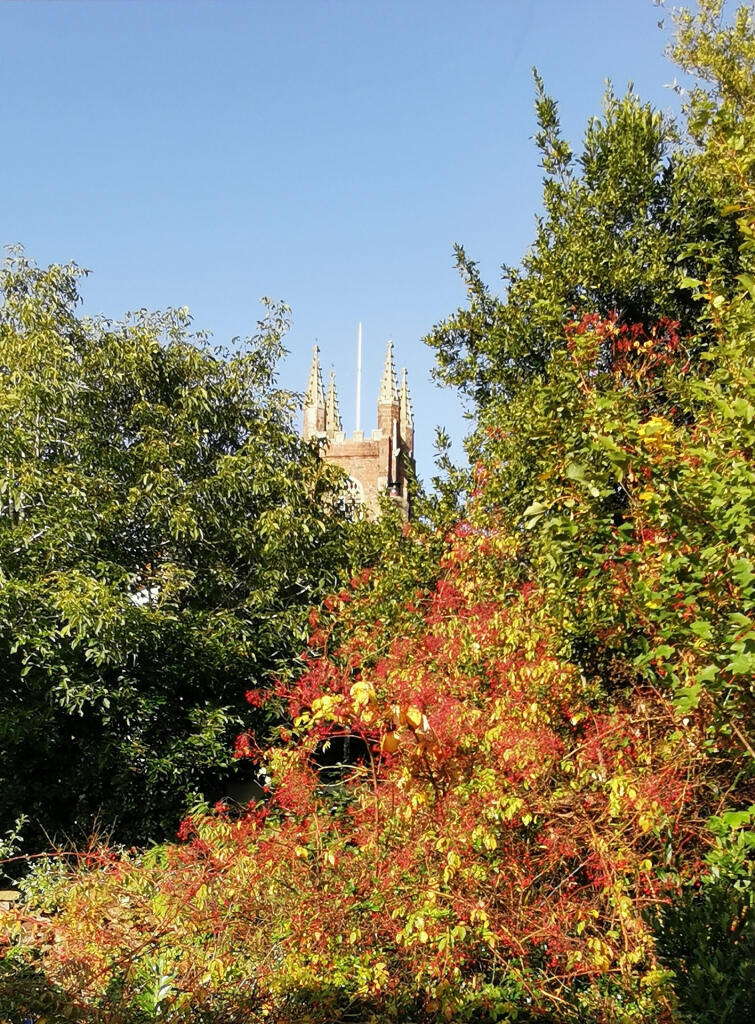 IMG_20251004_094530_edit_7789196985268