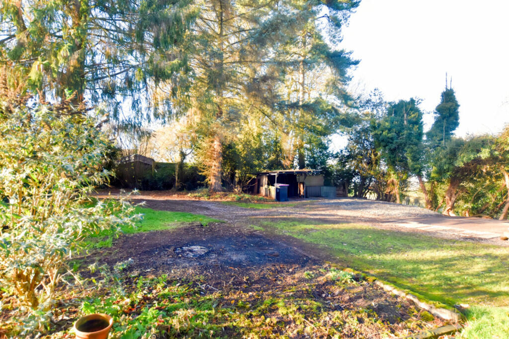 Rear Garden 1
