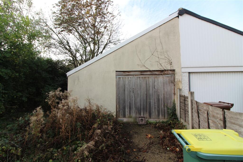 IMG 7152  Medium  T202510301105.jpg