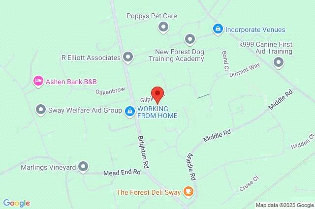 Google Maps Image