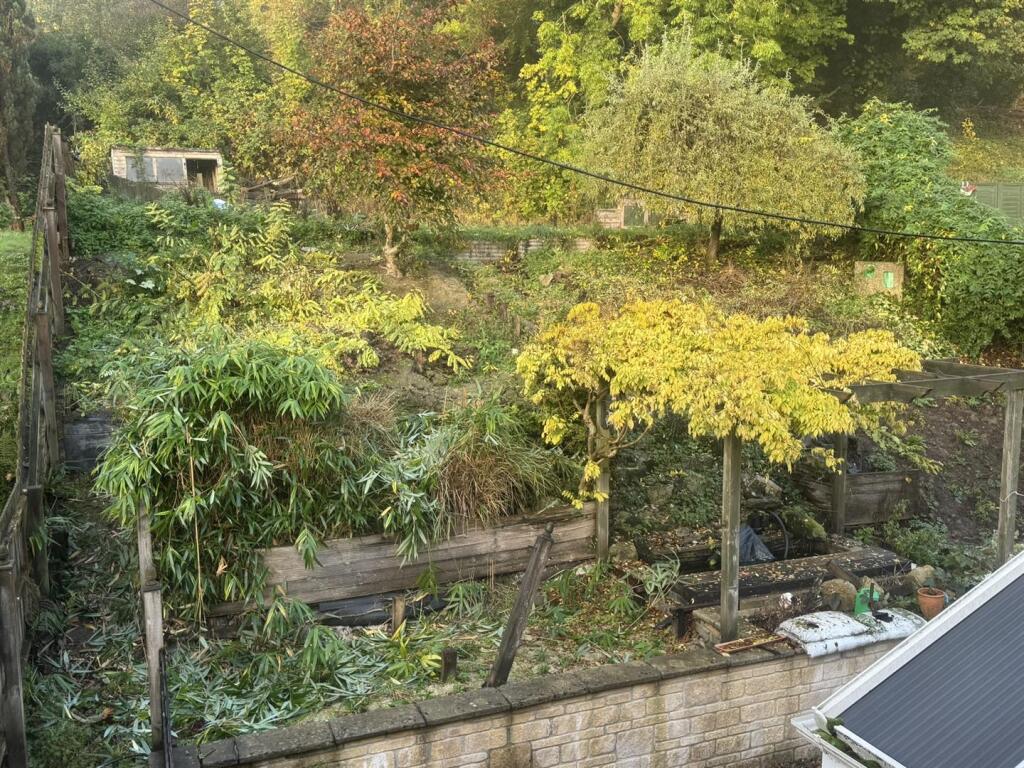 GARDEN 1.JPEG