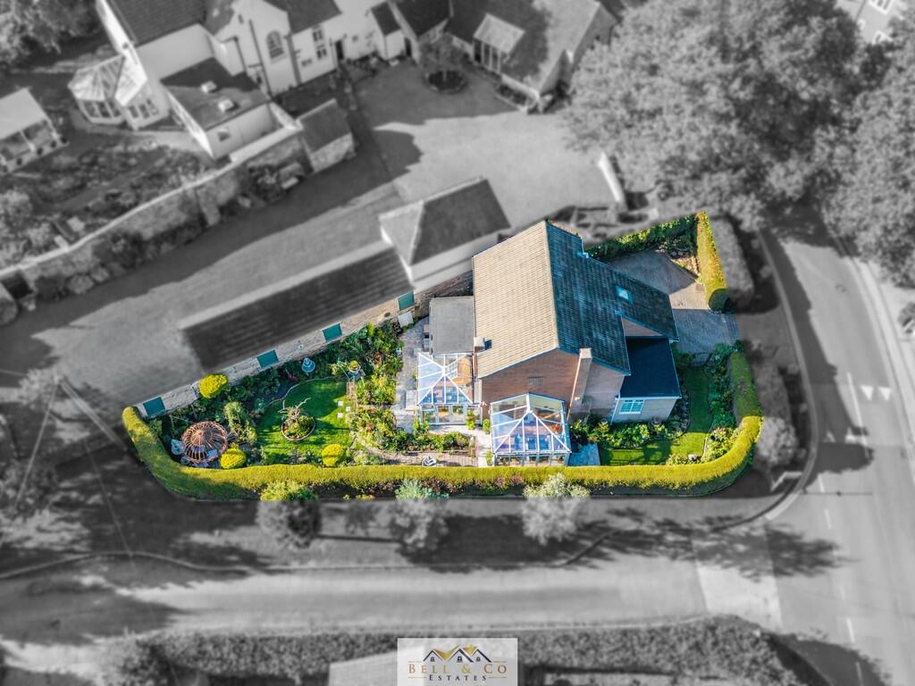 Aerial 7 