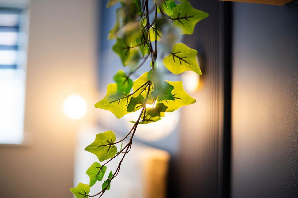 TheBay_Room2-20.jpg