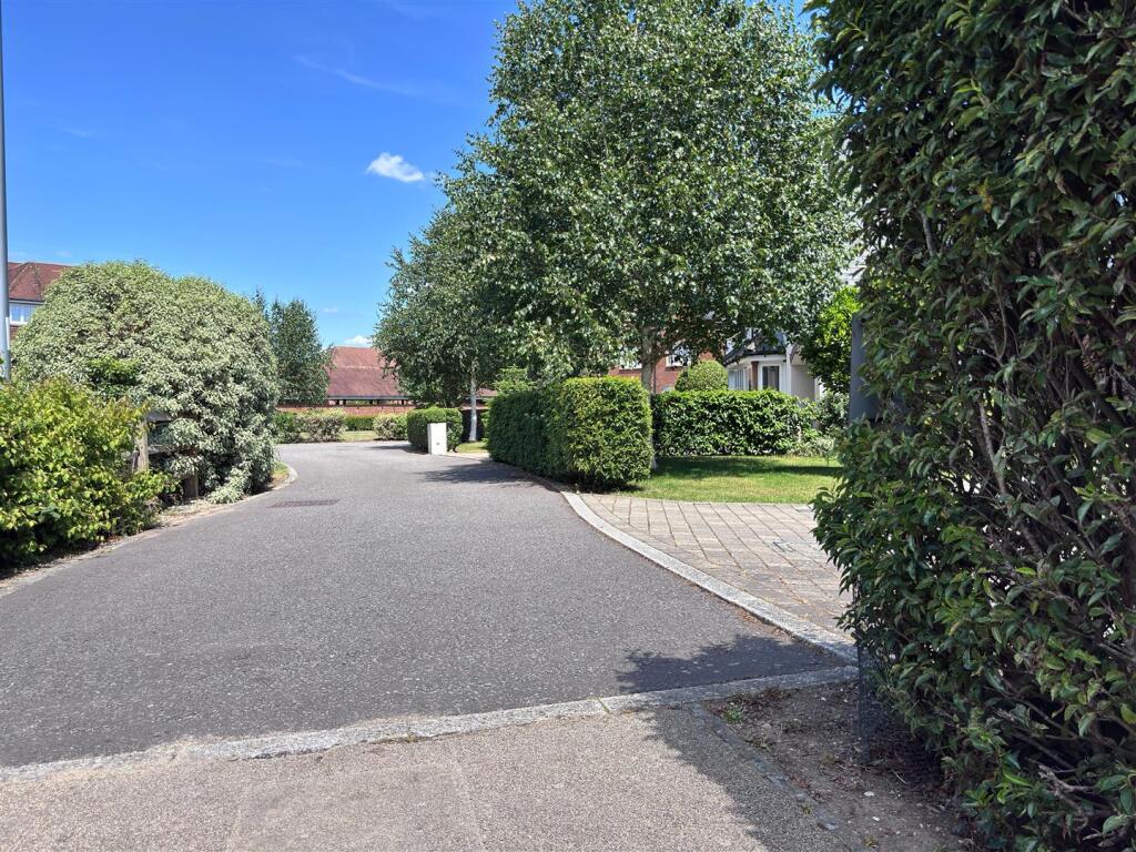 outside1.jpg