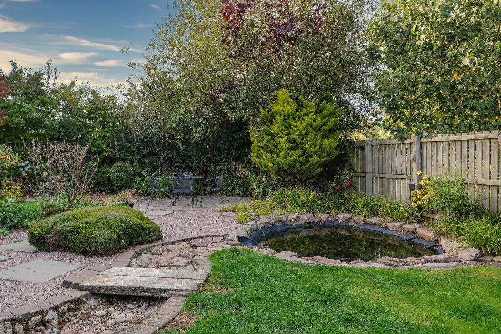 Rear garden pond