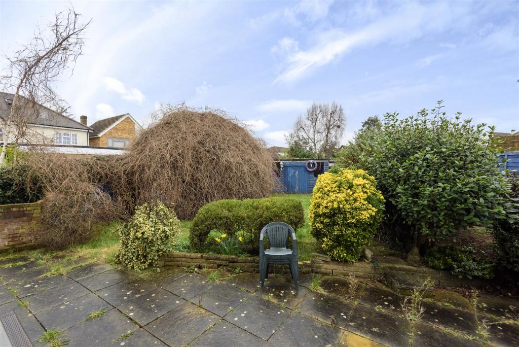 815454 (10).jpg