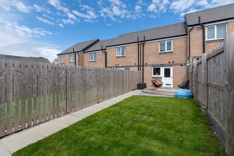 Back Garden