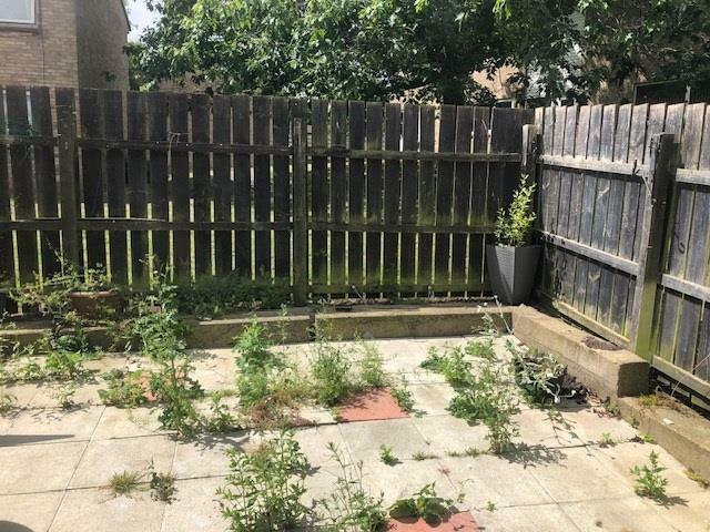 Garden Yard.jpg