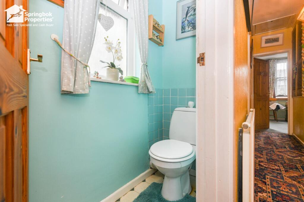 IMAGE 7