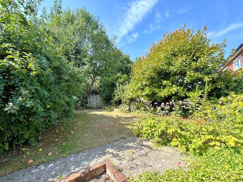 garden.jpg