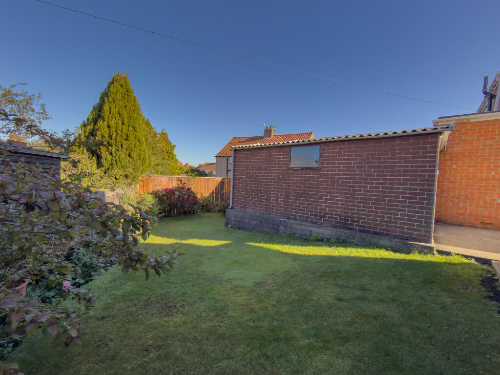 IMG 5129 T202509282048.jpg