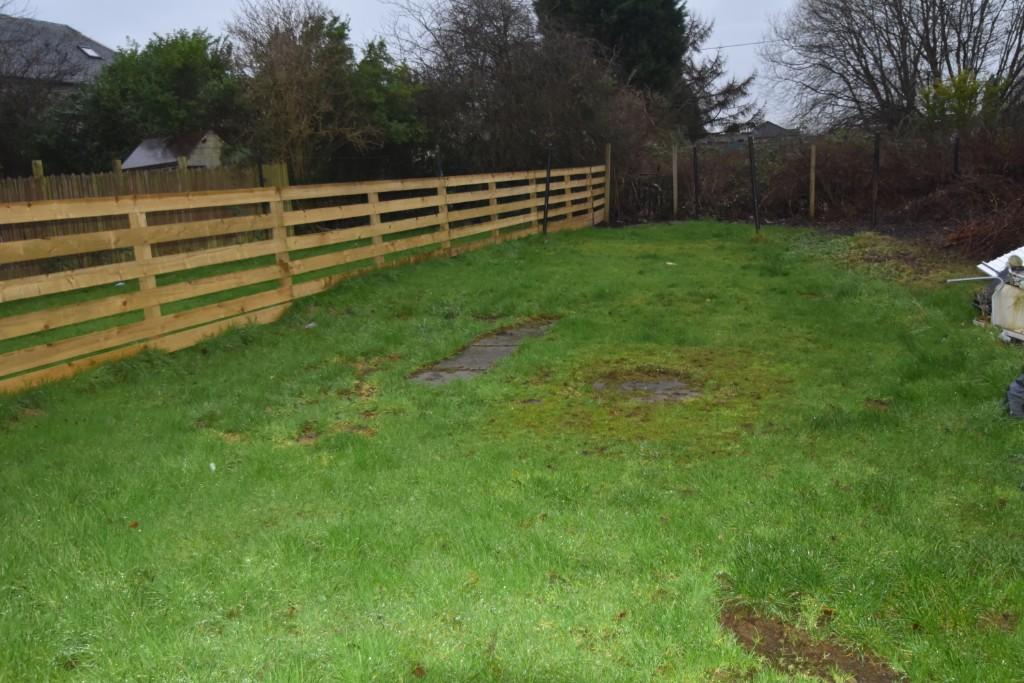 Back garden