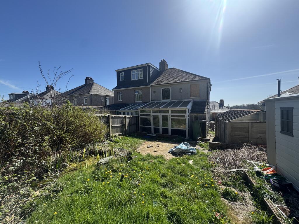 IMG 7891 T202504192059.jpg