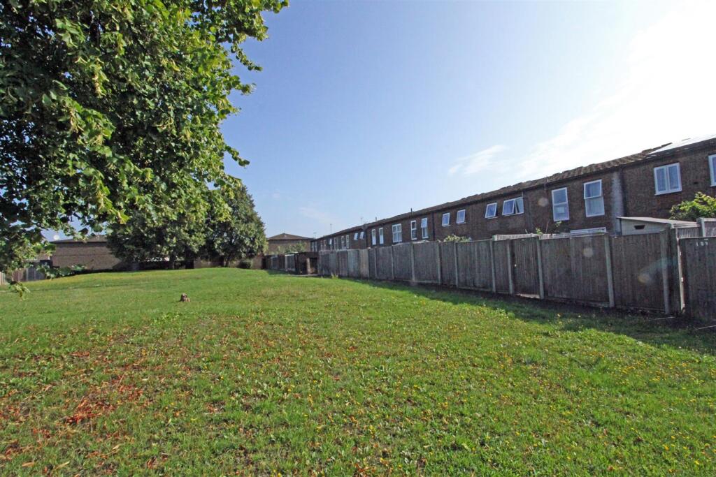 IMG_5937 green back fence.jpg