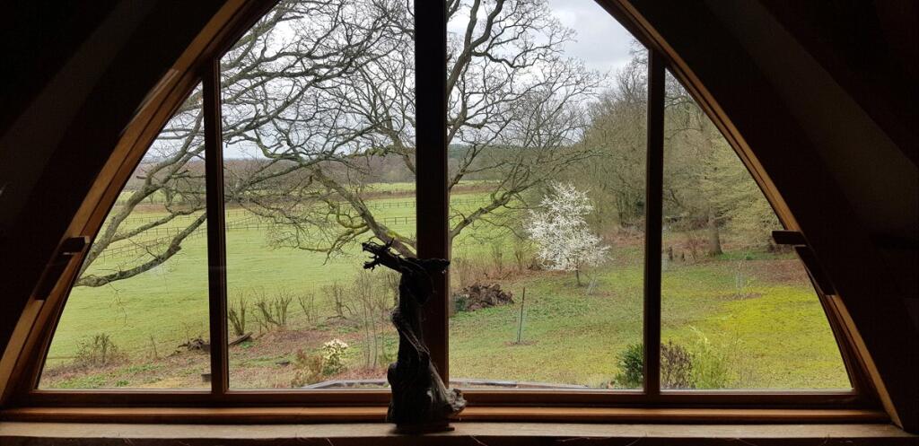 Spring View