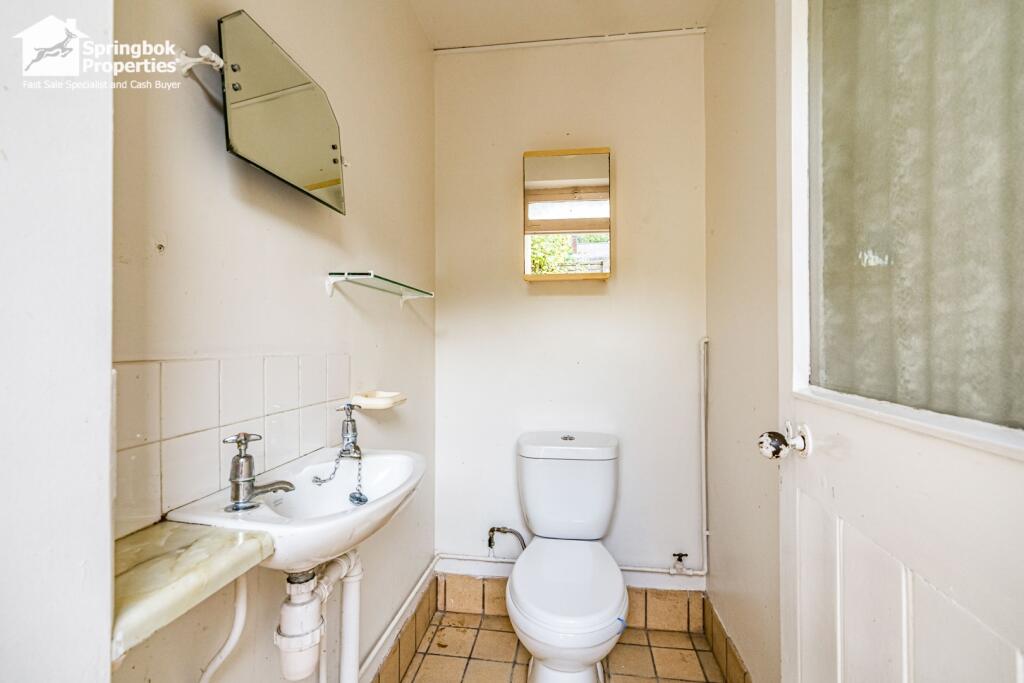 IMAGE 5