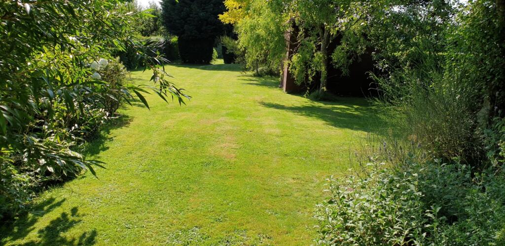 garden1