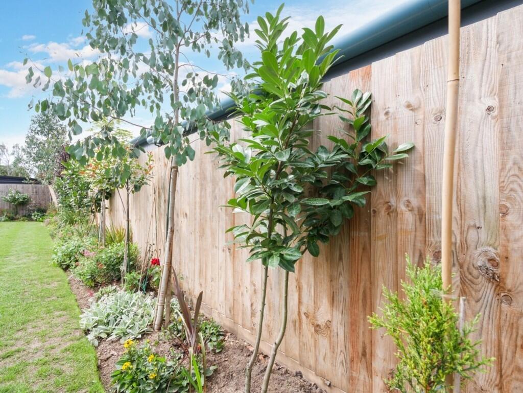 GARDEN4