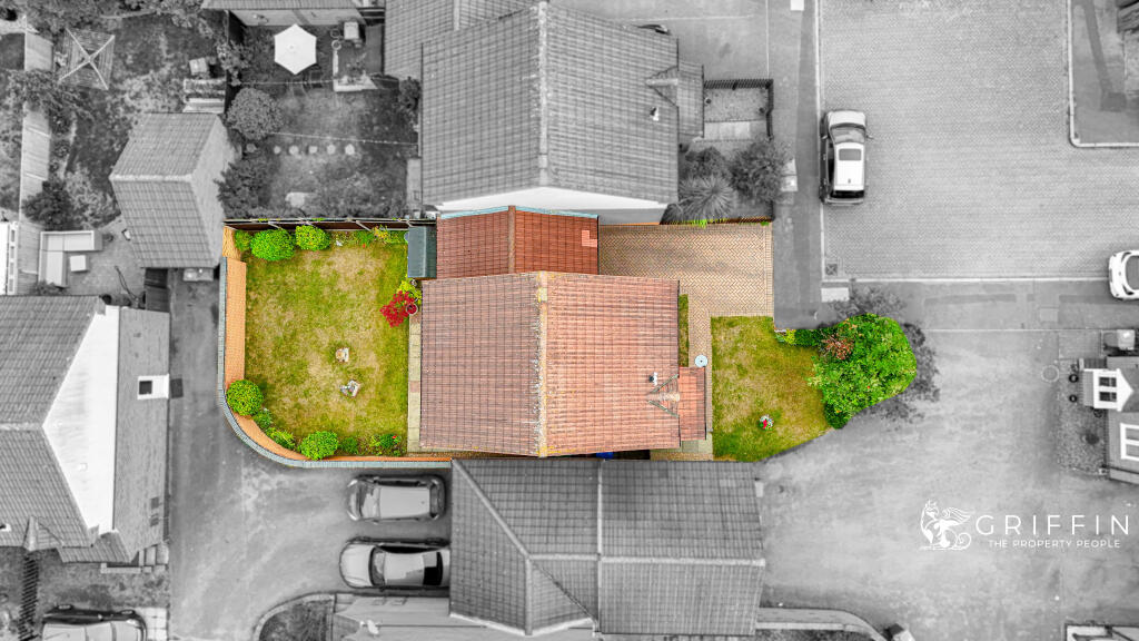 19dji202507291052540256d