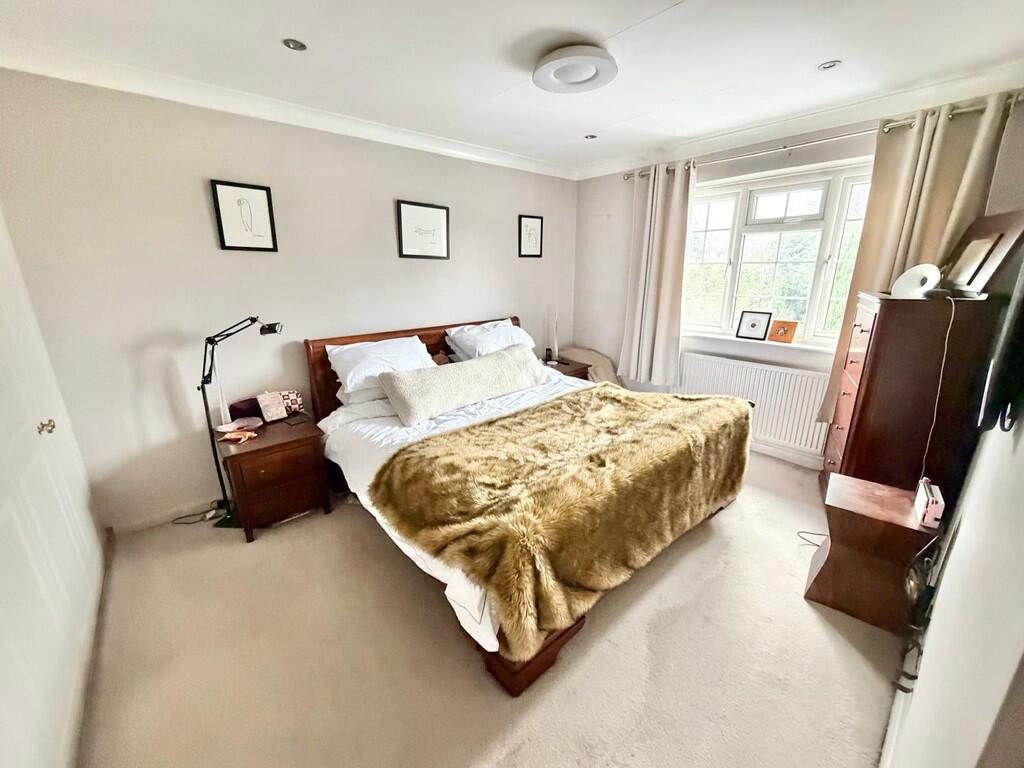 WhatsApp Image 20...