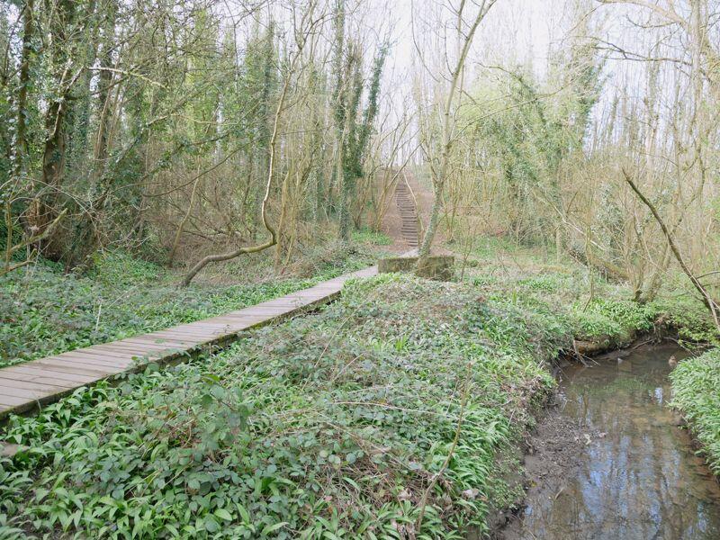 Photo 34