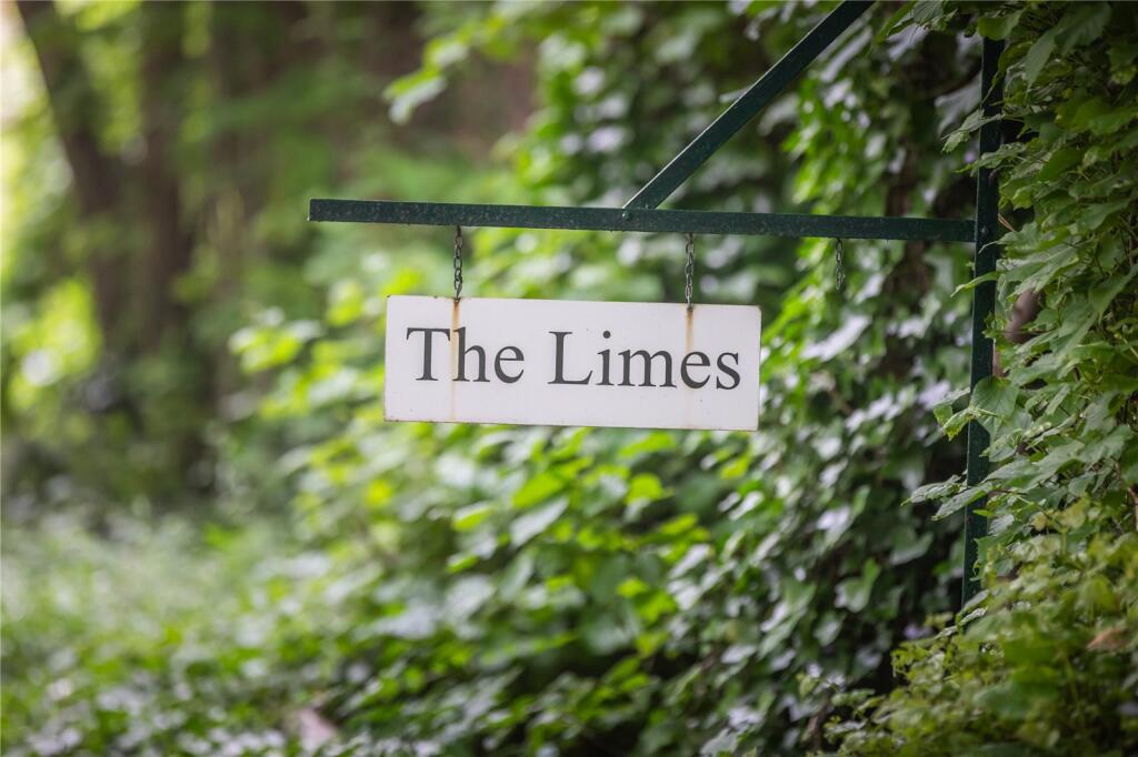 The Limes