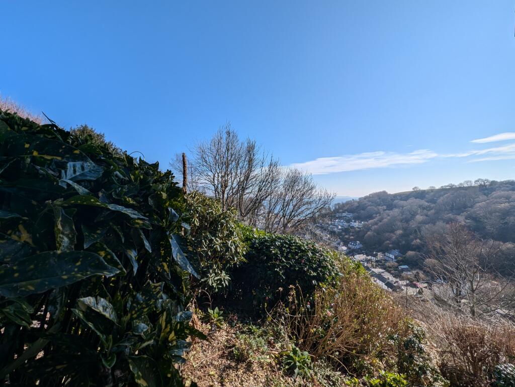 PXL_20250303_103352143
