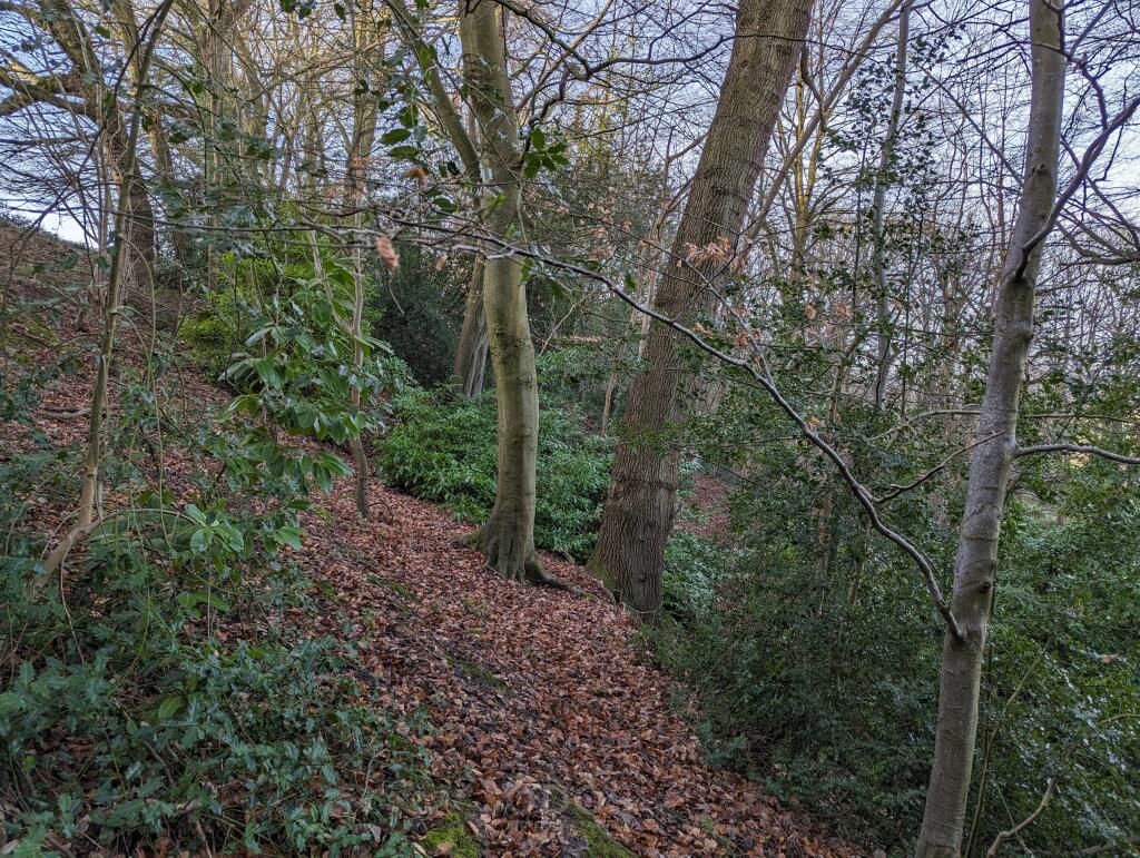 Grove Wood Painswick Road Brockworth GL3 4RU NB 22