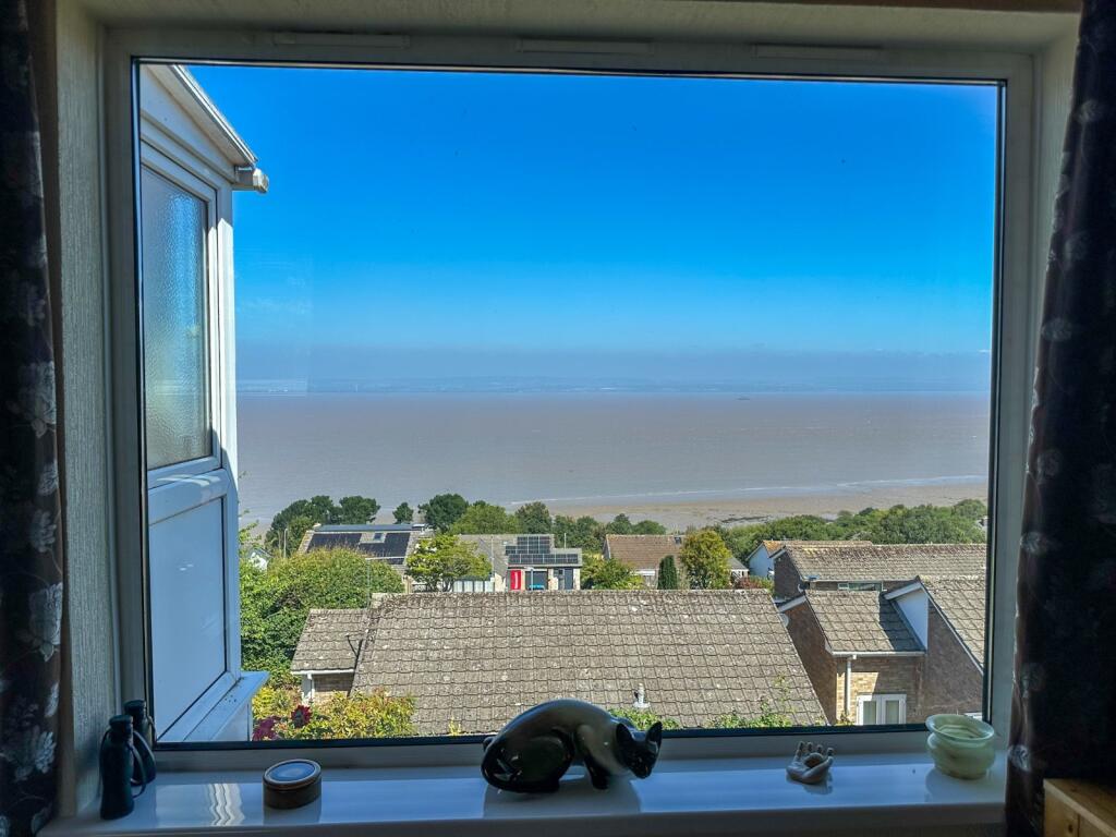 Picture Window