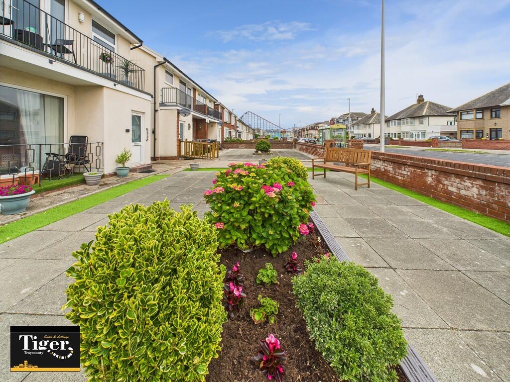 CAM02176G0-PR0602...