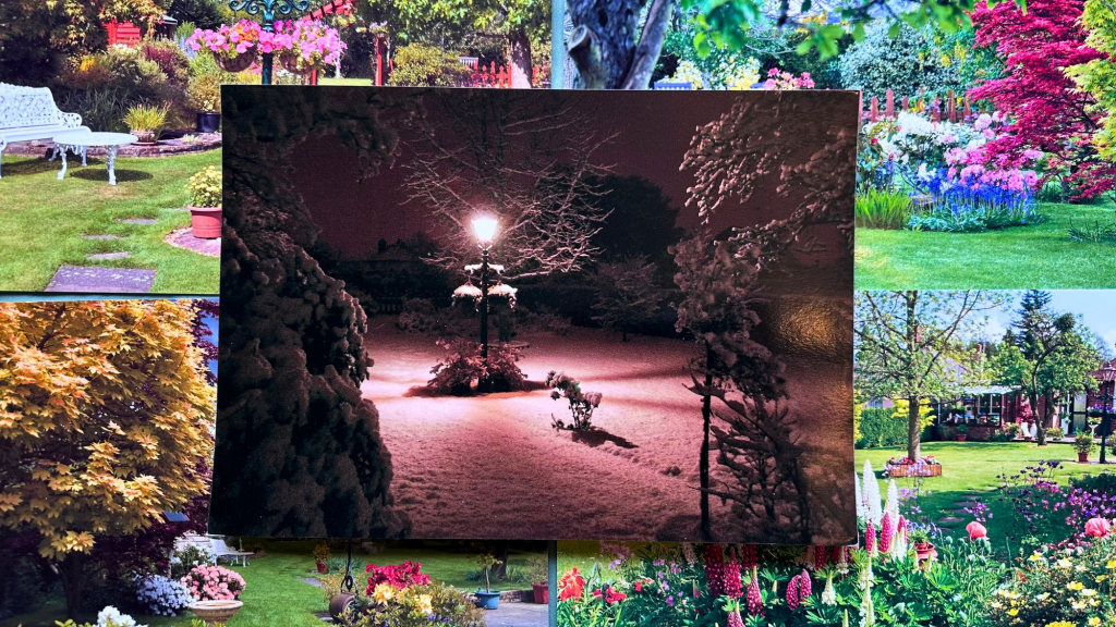 Garden Through The Years