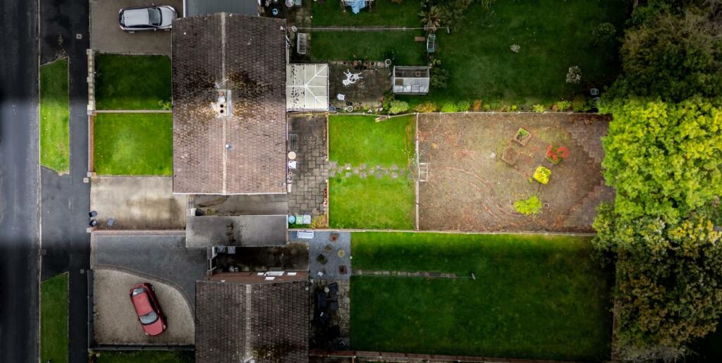 ariels (2 of 10).jpg