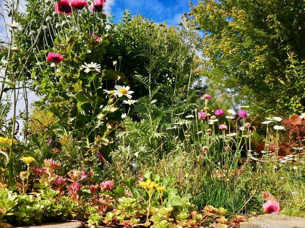 Summer gardens to enjoy