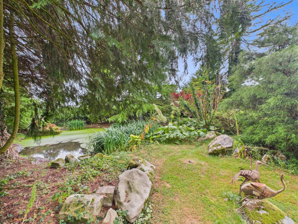 Pond