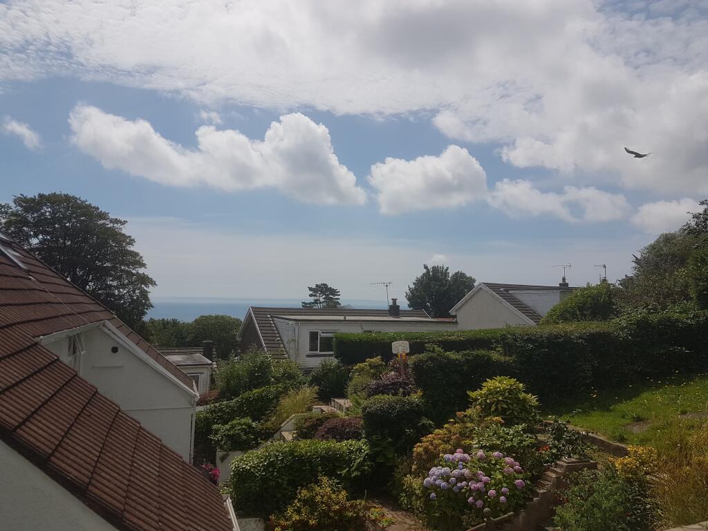 66260866_45168774228