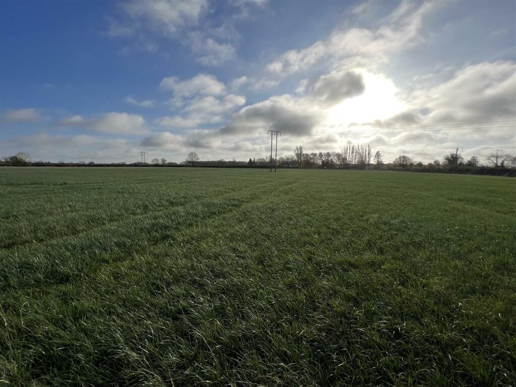 IMG_3229.JPG
