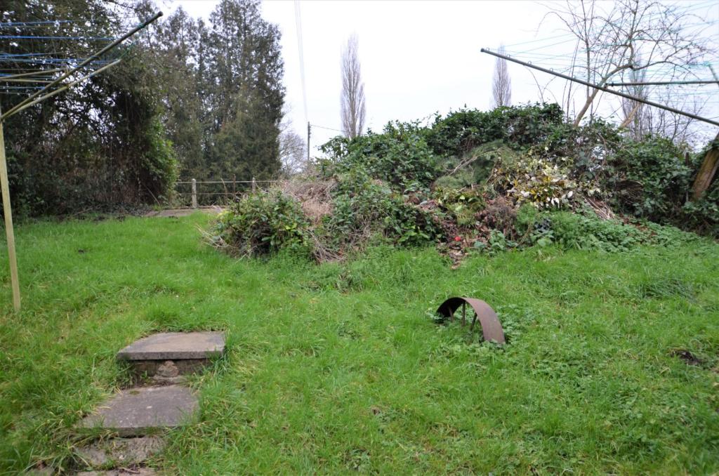 Communal Garden