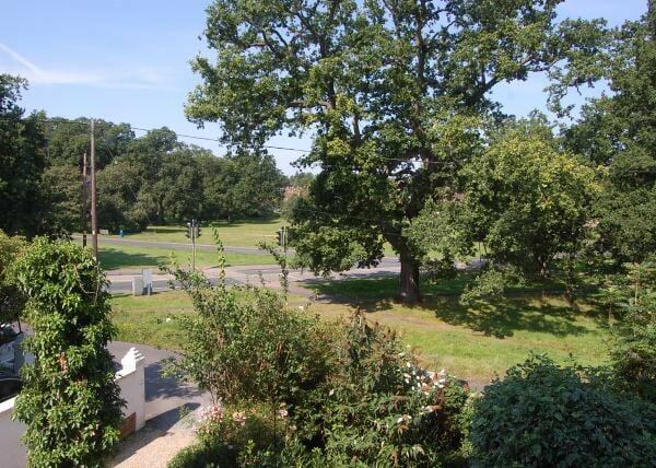 View from Lounge win