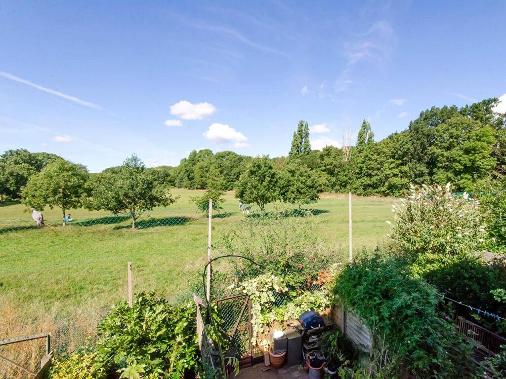 Rear Reception Views