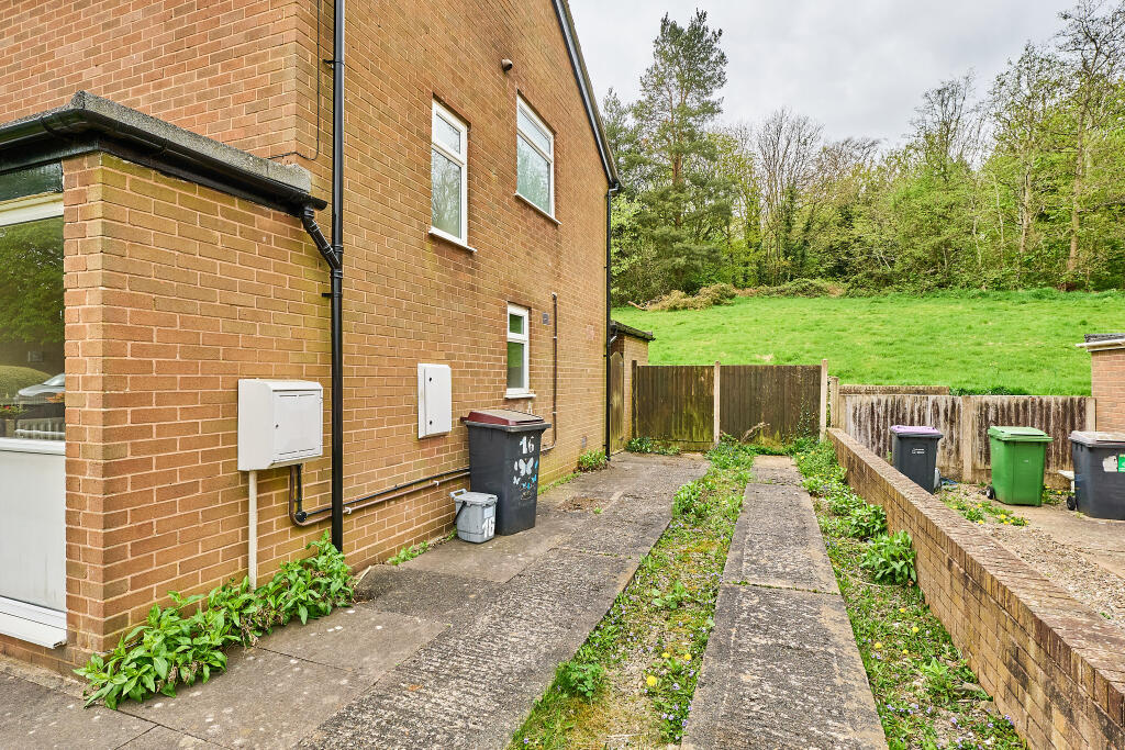 P1456238 T202504141830.jpg